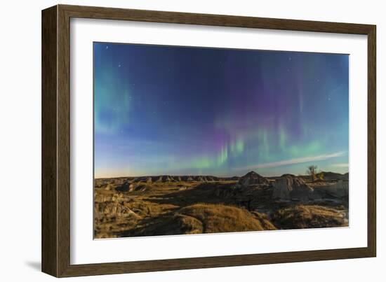 Aurora Borealis over the Badlands of Dinosaur Provincial Park, Canada-null-Framed Photographic Print