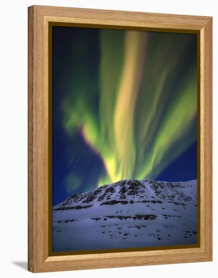 Aurora Borealis over Toviktinden Mountain in Troms County, Norway-Stocktrek Images-Framed Premier Image Canvas