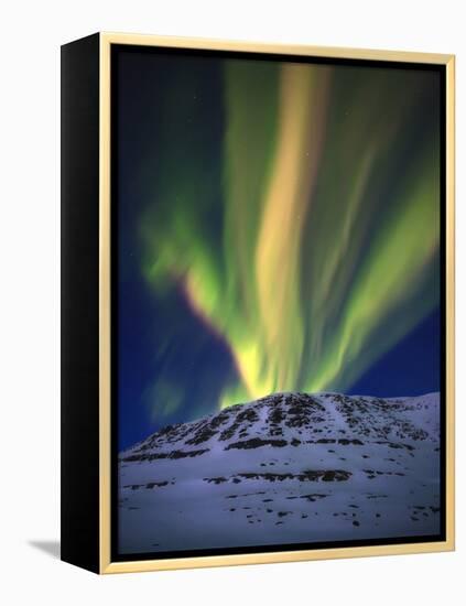 Aurora Borealis over Toviktinden Mountain in Troms County, Norway-Stocktrek Images-Framed Premier Image Canvas