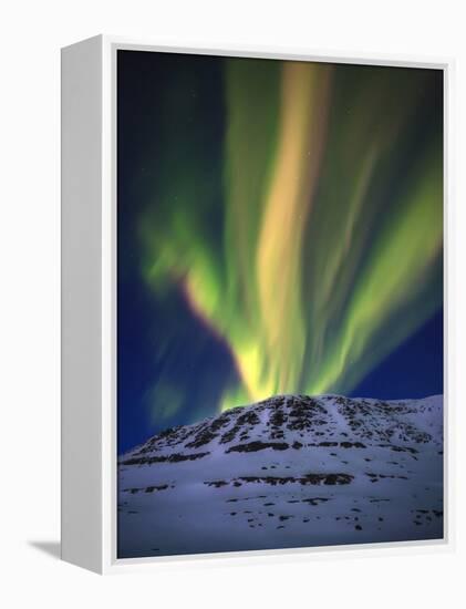 Aurora Borealis over Toviktinden Mountain in Troms County, Norway-Stocktrek Images-Framed Premier Image Canvas