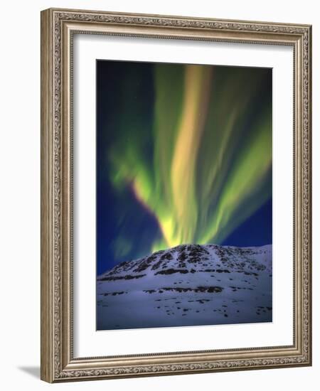 Aurora Borealis over Toviktinden Mountain in Troms County, Norway-Stocktrek Images-Framed Photographic Print