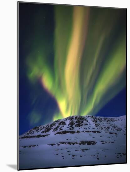 Aurora Borealis over Toviktinden Mountain in Troms County, Norway-Stocktrek Images-Mounted Photographic Print