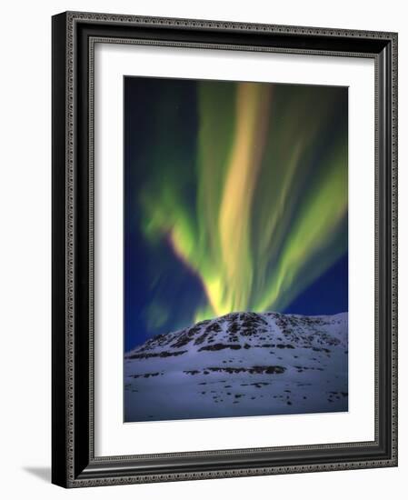 Aurora Borealis over Toviktinden Mountain in Troms County, Norway-Stocktrek Images-Framed Photographic Print