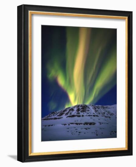 Aurora Borealis over Toviktinden Mountain in Troms County, Norway-Stocktrek Images-Framed Photographic Print