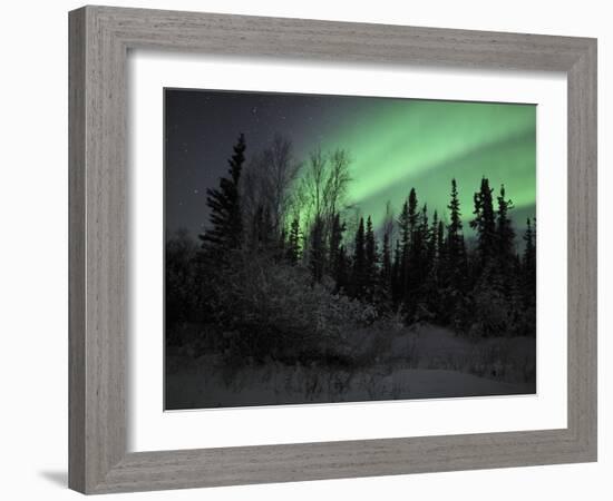 Aurora Borealis Over Vee Lake, Northwest Territories, Canada-Stocktrek Images-Framed Photographic Print