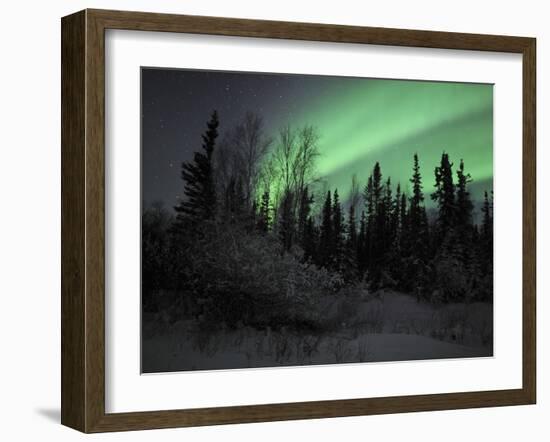 Aurora Borealis Over Vee Lake, Northwest Territories, Canada-Stocktrek Images-Framed Photographic Print