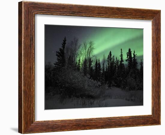 Aurora Borealis Over Vee Lake, Northwest Territories, Canada-Stocktrek Images-Framed Photographic Print