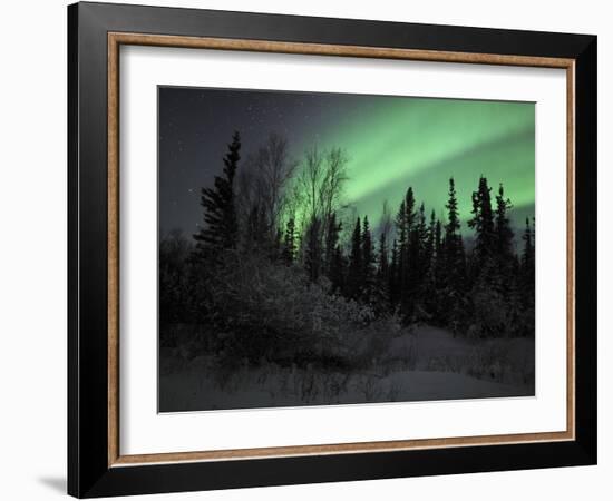 Aurora Borealis Over Vee Lake, Northwest Territories, Canada-Stocktrek Images-Framed Photographic Print