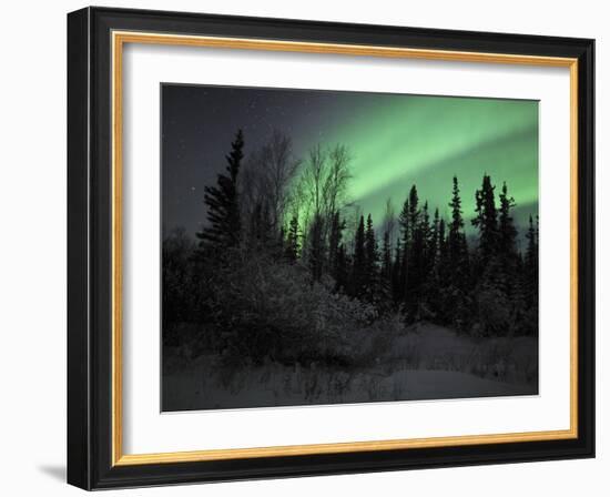 Aurora Borealis Over Vee Lake, Northwest Territories, Canada-Stocktrek Images-Framed Photographic Print