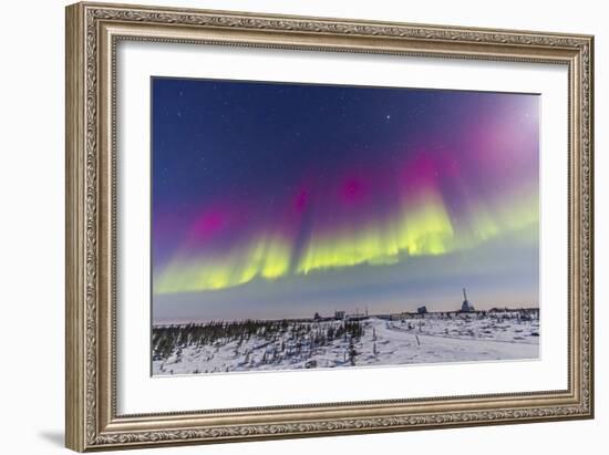 Aurora Borealis Seen from Churchill, Manitoba, Canada-Stocktrek Images-Framed Photographic Print