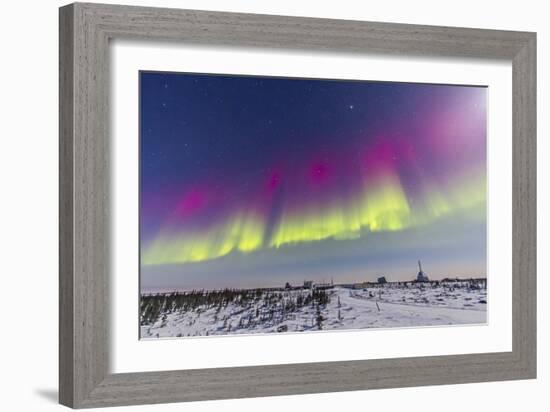 Aurora Borealis Seen from Churchill, Manitoba, Canada-Stocktrek Images-Framed Photographic Print