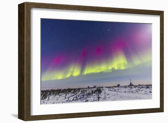 Aurora Borealis Seen from Churchill, Manitoba, Canada-Stocktrek Images-Framed Photographic Print