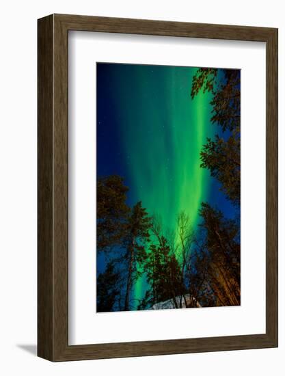 Aurora Borealis (The Northern Lights) over Kakslauttanen Igloo West Village, Saariselka, Finland-Laura Grier-Framed Photographic Print