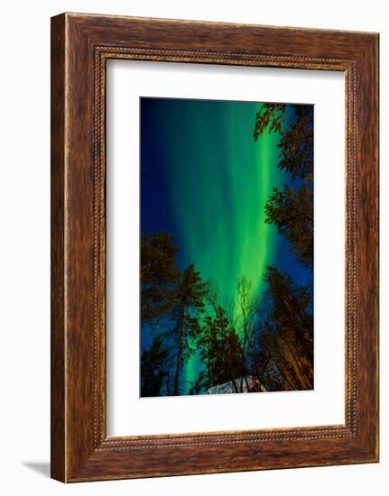 Aurora Borealis (The Northern Lights) over Kakslauttanen Igloo West Village, Saariselka, Finland-Laura Grier-Framed Photographic Print