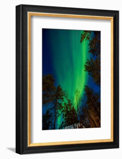 Aurora Borealis (The Northern Lights) over Kakslauttanen Igloo West Village, Saariselka, Finland-Laura Grier-Framed Photographic Print