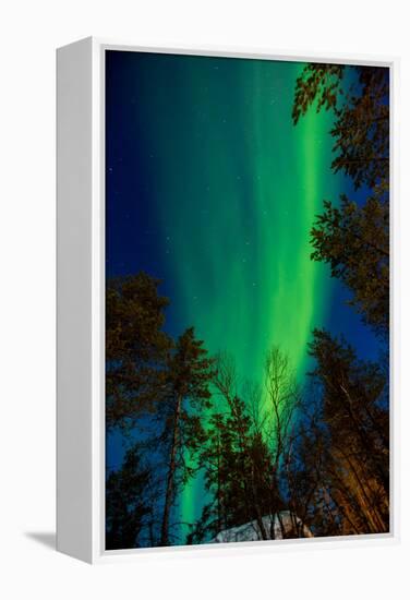 Aurora Borealis (The Northern Lights) over Kakslauttanen Igloo West Village, Saariselka, Finland-Laura Grier-Framed Premier Image Canvas