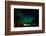 Aurora Borealis (The Northern Lights) over Kakslauttanen Igloo West Village, Saariselka, Finland-Laura Grier-Framed Photographic Print