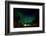 Aurora Borealis (The Northern Lights) over Kakslauttanen Igloo West Village, Saariselka, Finland-Laura Grier-Framed Photographic Print