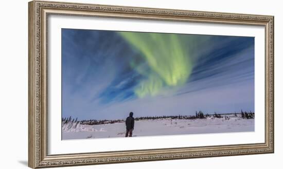 Aurora Borealis under Bright Moonlight in Churchill, Manitoba, Canada-Stocktrek Images-Framed Photographic Print