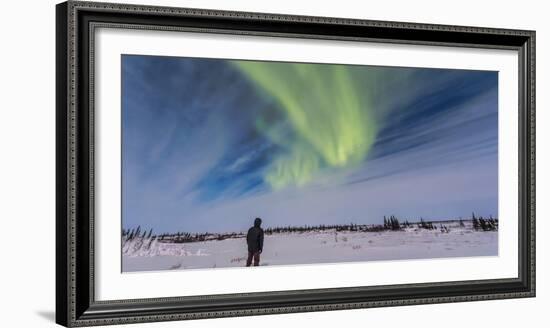 Aurora Borealis under Bright Moonlight in Churchill, Manitoba, Canada-Stocktrek Images-Framed Photographic Print