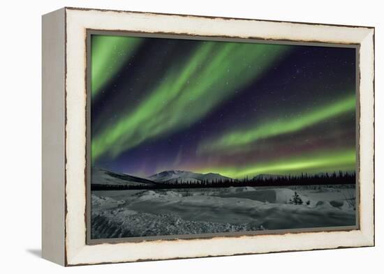 Aurora Borealis V-Larry Malvin-Framed Premier Image Canvas