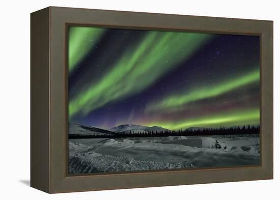 Aurora Borealis V-Larry Malvin-Framed Premier Image Canvas