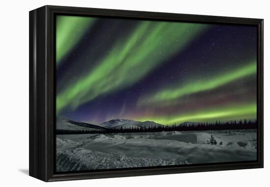 Aurora Borealis V-Larry Malvin-Framed Premier Image Canvas