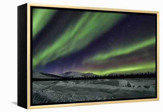 Aurora Borealis V-Larry Malvin-Framed Premier Image Canvas