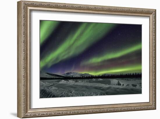 Aurora Borealis V-Larry Malvin-Framed Photographic Print