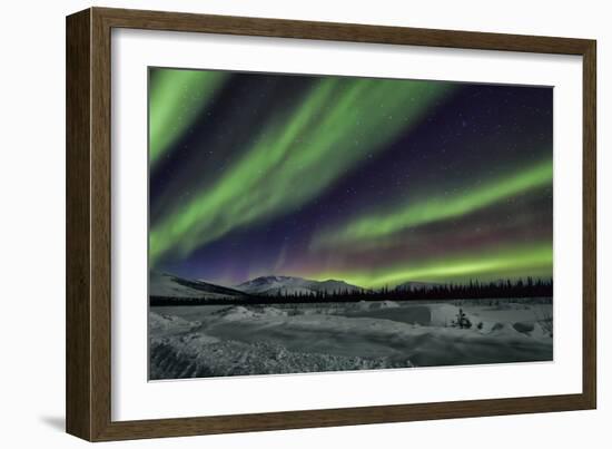 Aurora Borealis V-Larry Malvin-Framed Photographic Print