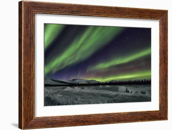Aurora Borealis V-Larry Malvin-Framed Photographic Print
