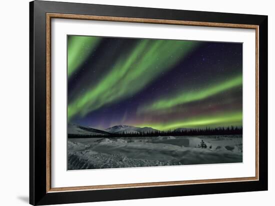 Aurora Borealis V-Larry Malvin-Framed Photographic Print