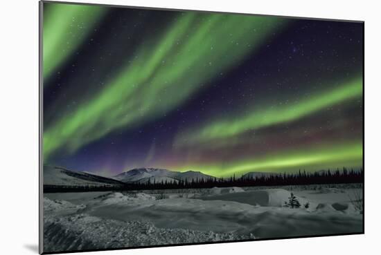 Aurora Borealis V-Larry Malvin-Mounted Photographic Print