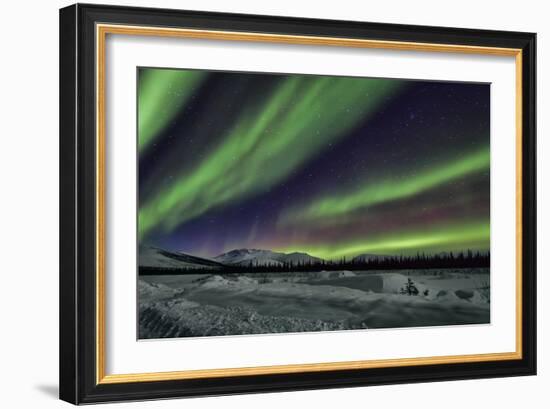 Aurora Borealis V-Larry Malvin-Framed Photographic Print