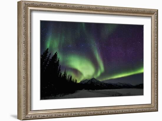 Aurora Borealis VI-Larry Malvin-Framed Photographic Print