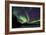 Aurora Borealis VI-Larry Malvin-Framed Photographic Print