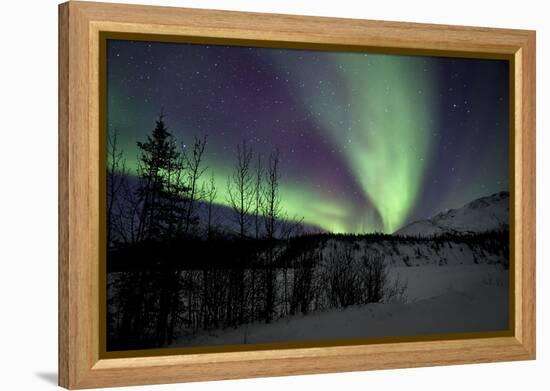 Aurora Borealis VII-Larry Malvin-Framed Premier Image Canvas