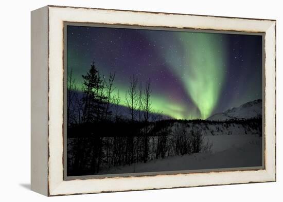 Aurora Borealis VII-Larry Malvin-Framed Premier Image Canvas
