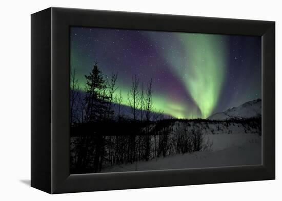 Aurora Borealis VII-Larry Malvin-Framed Premier Image Canvas