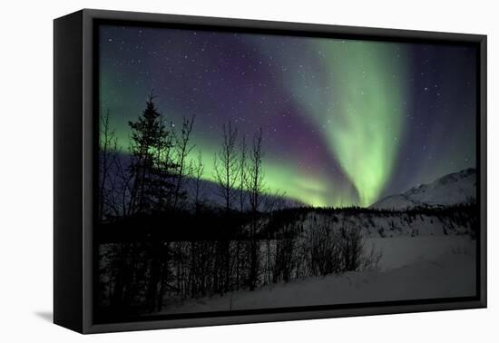 Aurora Borealis VII-Larry Malvin-Framed Premier Image Canvas