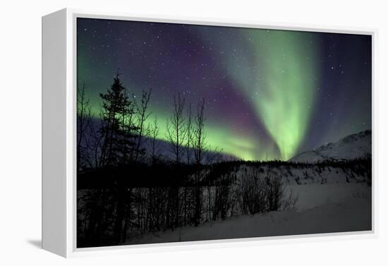 Aurora Borealis VII-Larry Malvin-Framed Premier Image Canvas