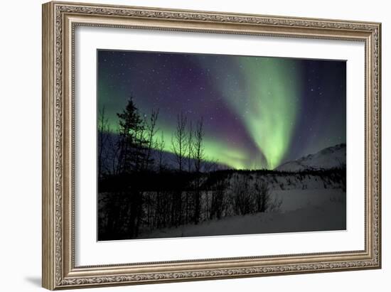 Aurora Borealis VII-Larry Malvin-Framed Photographic Print