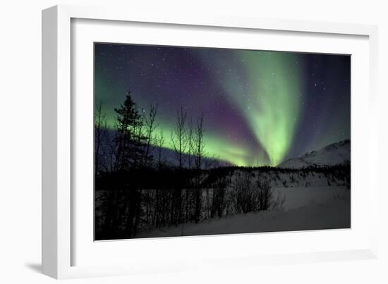 Aurora Borealis VII-Larry Malvin-Framed Photographic Print