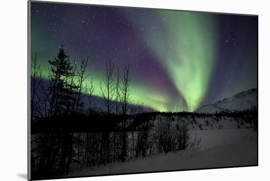 Aurora Borealis VII-Larry Malvin-Mounted Photographic Print