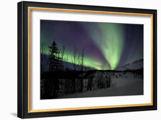 Aurora Borealis VII-Larry Malvin-Framed Photographic Print