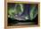 Aurora Borealis VIII-Larry Malvin-Framed Premier Image Canvas