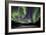 Aurora Borealis VIII-Larry Malvin-Framed Photographic Print