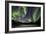 Aurora Borealis VIII-Larry Malvin-Framed Photographic Print