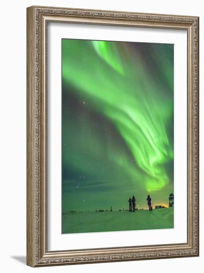 Aurora Borealis with Taurus and Orion over Churchill, Manitoba, Canada-Stocktrek Images-Framed Photographic Print