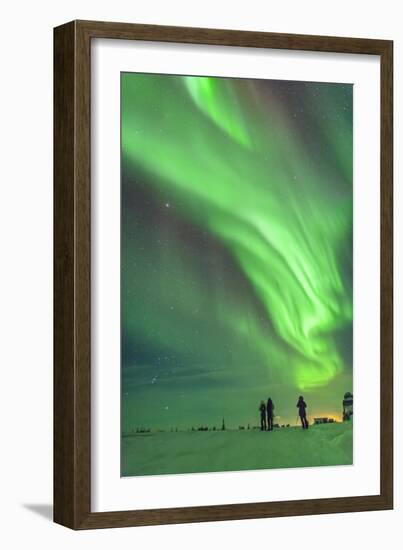 Aurora Borealis with Taurus and Orion over Churchill, Manitoba, Canada-Stocktrek Images-Framed Photographic Print